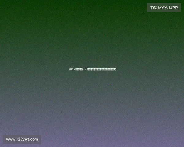 2014年世界杯FIFA收入解析与全球商业价值影响研究分析版 2014年世界杯FIFA收入解析与全球商业价值影响研究分析版